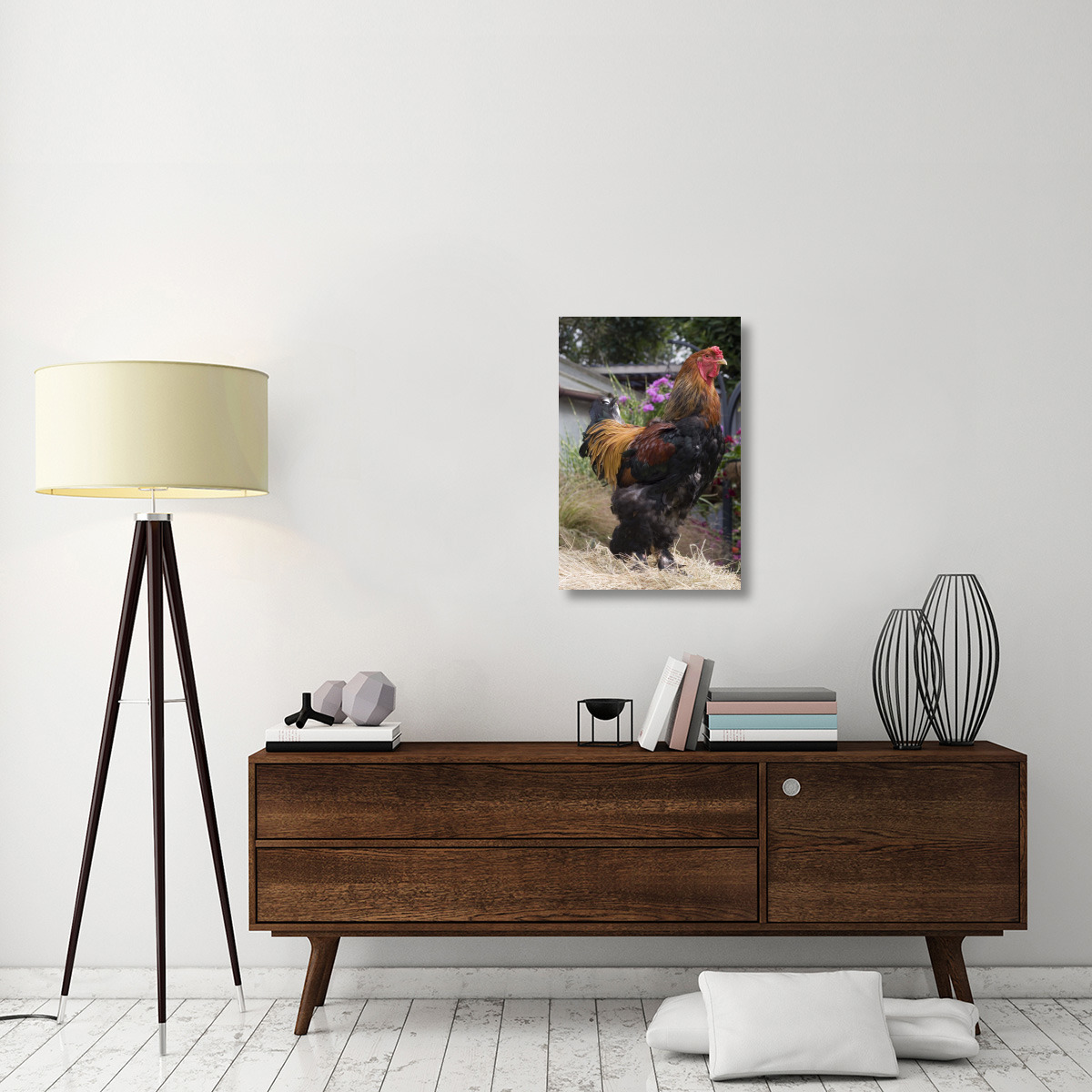 Domestic Chicken, Gold Brahma cock-Canvas Art-20&quotx30"