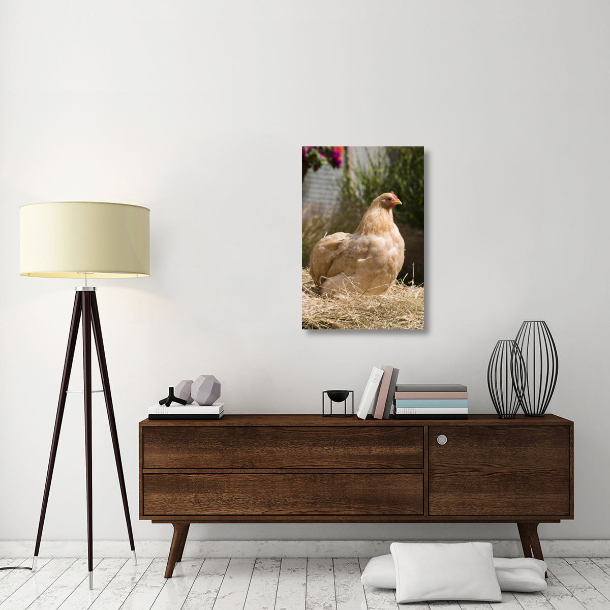 Domestic Chicken, Lemon Pekin Bard hen-Canvas Art-24&quotx36"