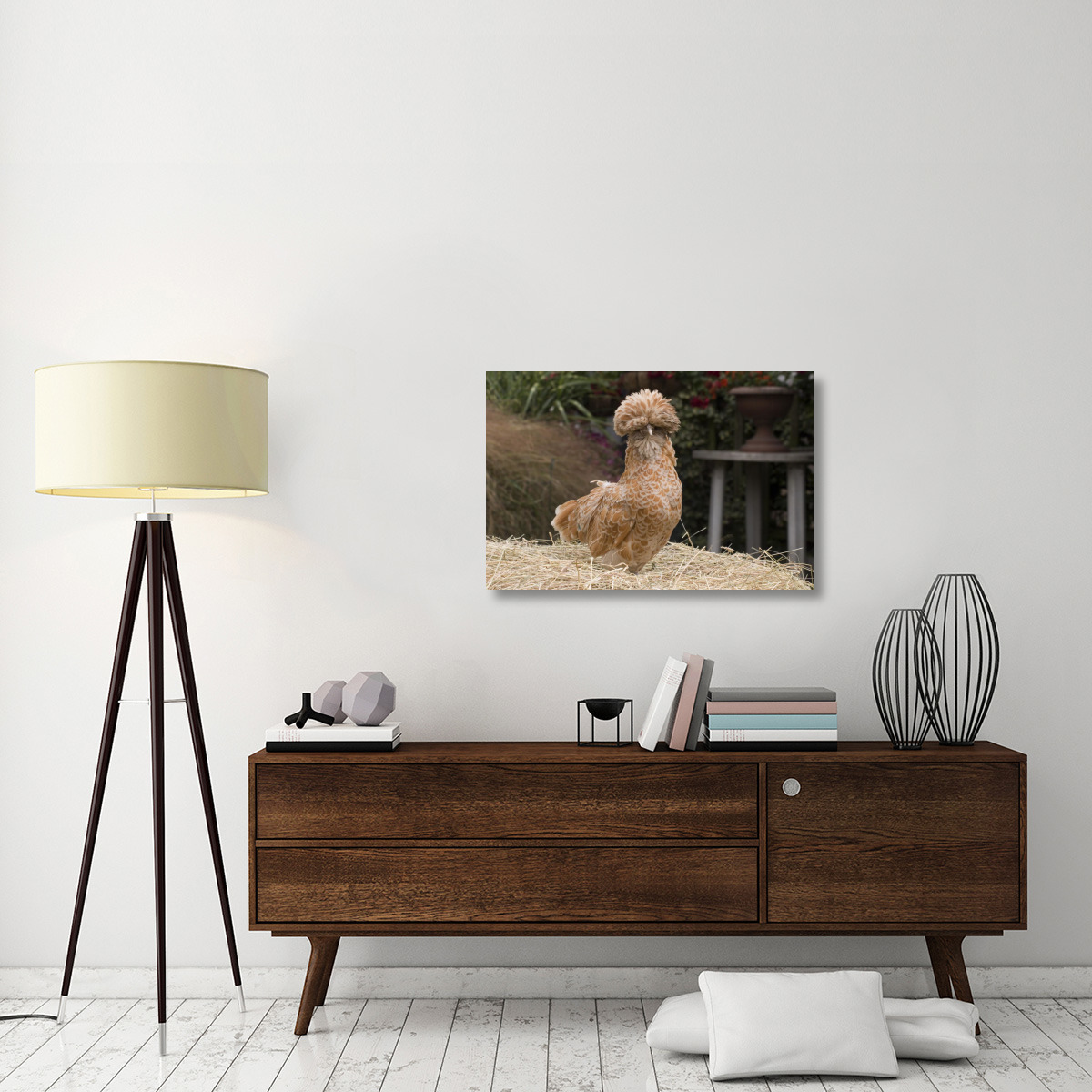 Domestic Chicken, Poland Chamois Buff Laced cock-Canvas Art-36&quotx24"