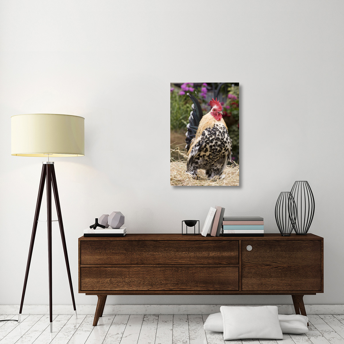 Domestic Chicken, Sable Poot, Lemon Mill Fleur cock-Canvas Art-24&quotx36"