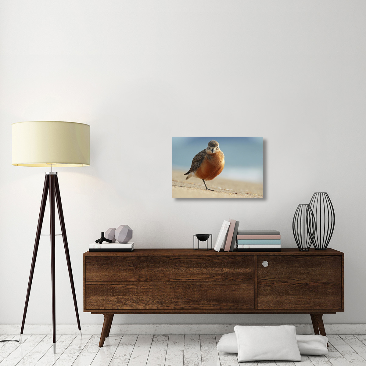 Red-breasted Plover, Coromandel Peninsula, New Zealand-Canvas Art-30&quotx20"