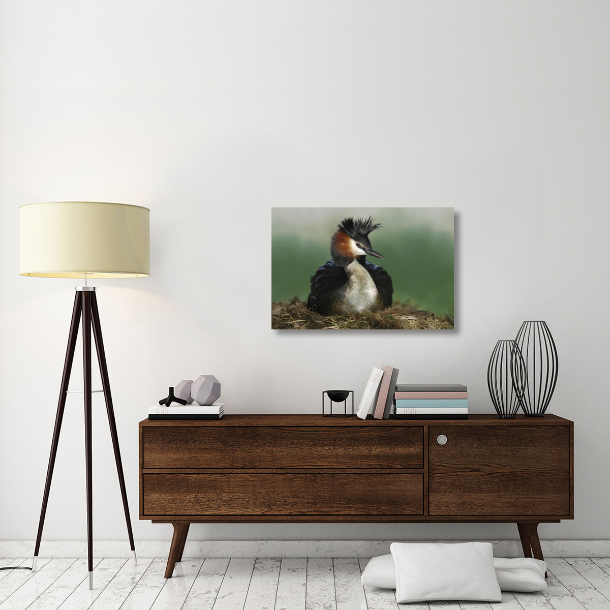 Great Crested Grebe on nest, Lake Alexandrina, New Zealand-Canvas Art-36&quotx24"