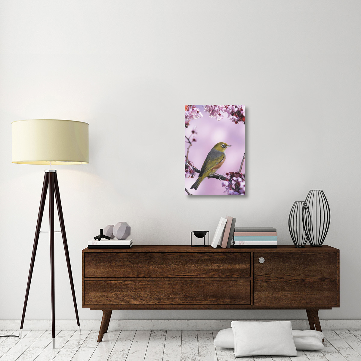 Silvereye on cherry blossom in spring, Christchurch, New Zealand-Canvas Art-20&quotx30"