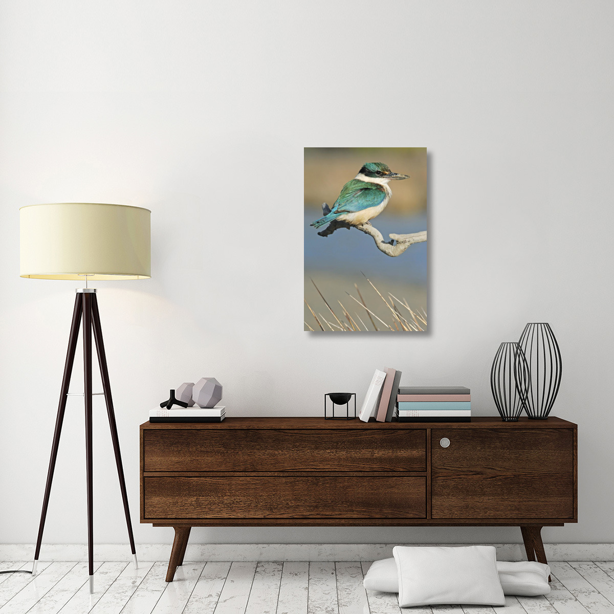 Sacred Kingfisher, Avon Heathcote Estuary, Christchurch, New Zealand-Canvas Art-24&quotx36"