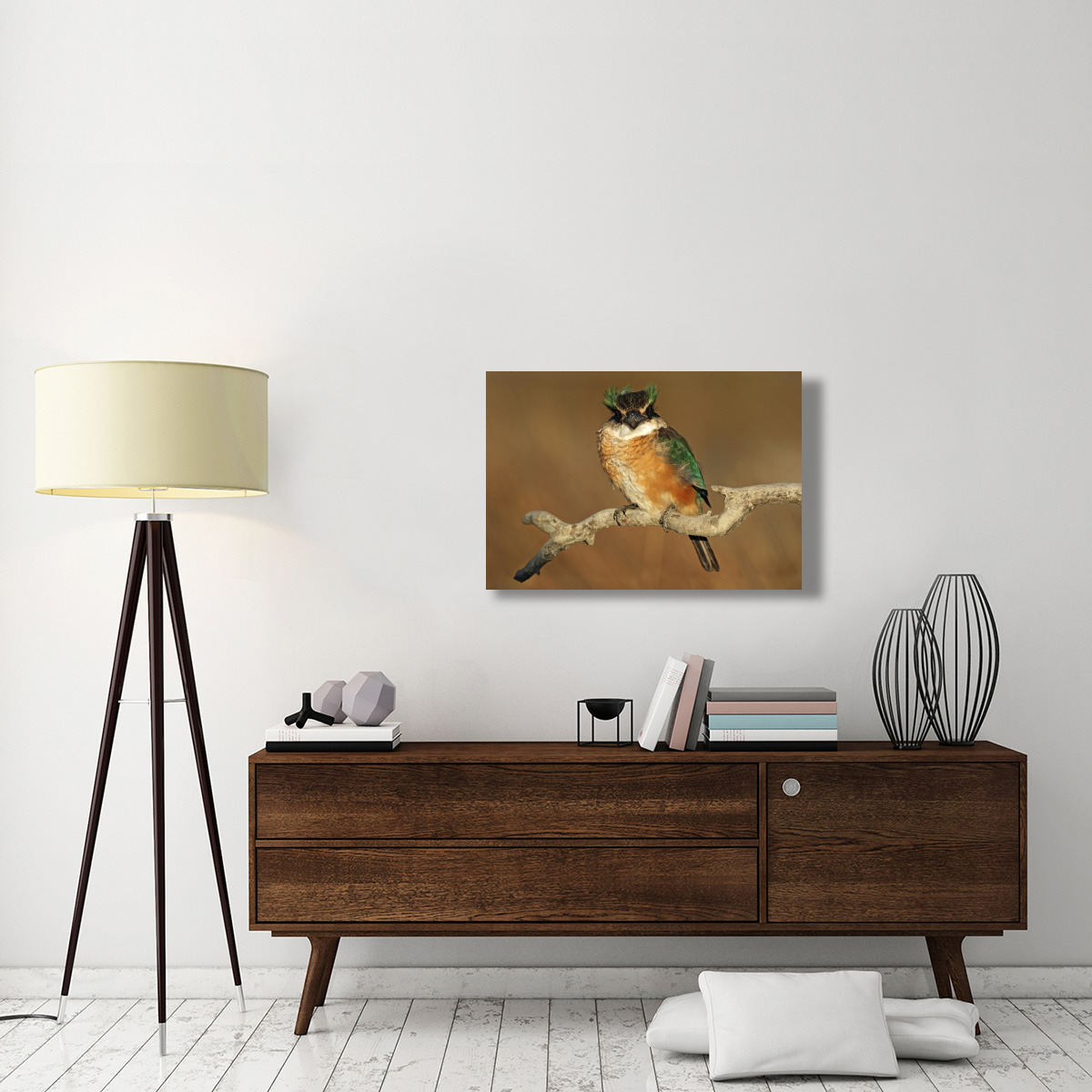Sacred Kingfisher, Avon Heathcote Estuary, Christchurch, New Zealand-Canvas Art-36&quotx24"