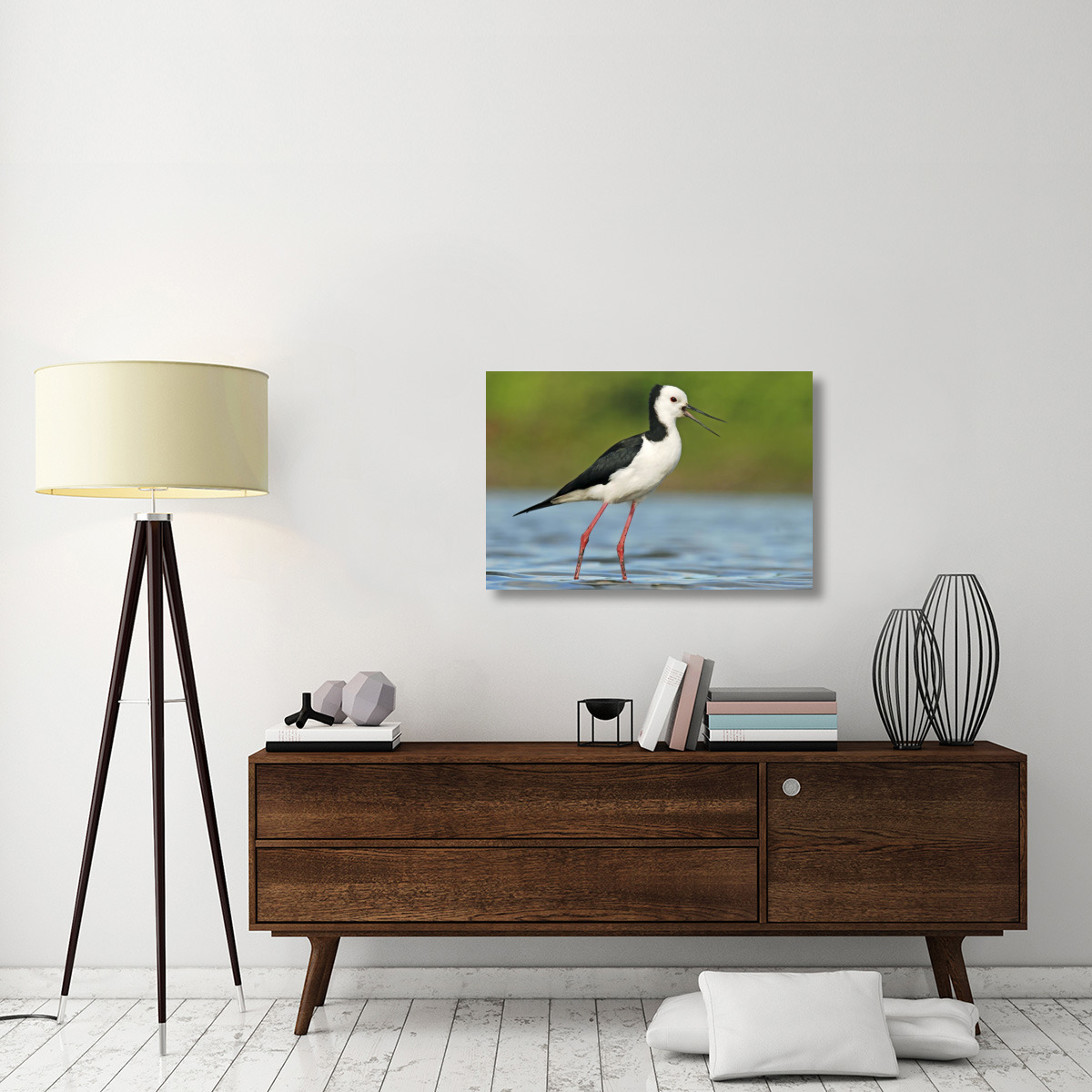 Black-winged Stilt calling, Avon Heathcote Estuary, Christchurch, New Zealand-Canvas Art-36&quotx24"