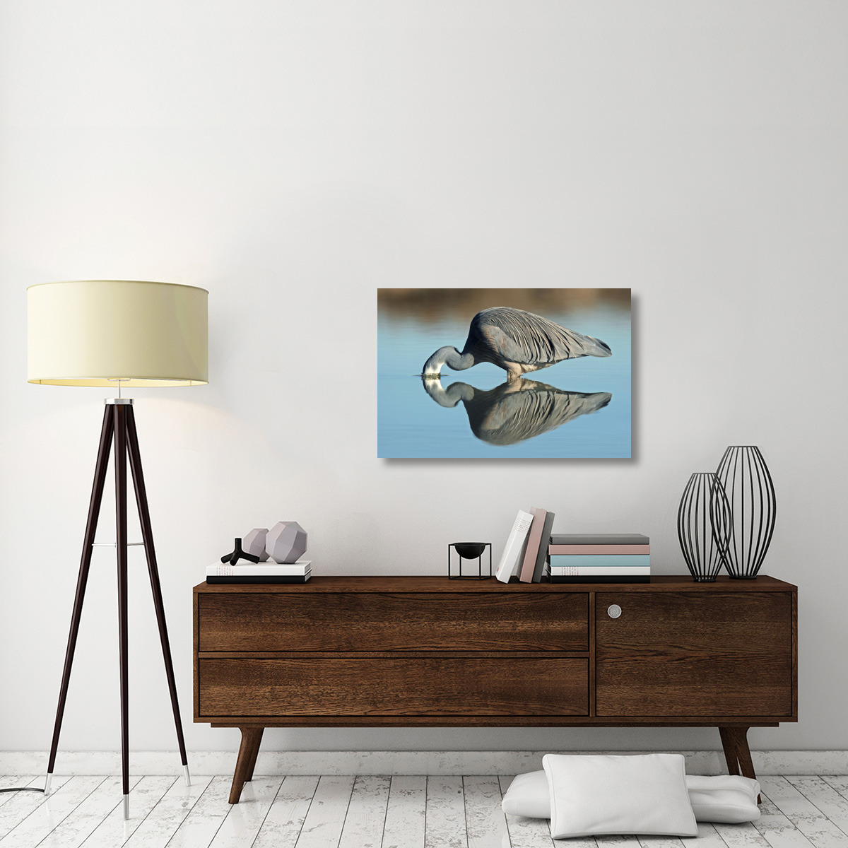 White-faced Heron striking at prey, Avon Heathcote Estuary, Christchurch, New Zealand-Canvas Art-36&quotx24"