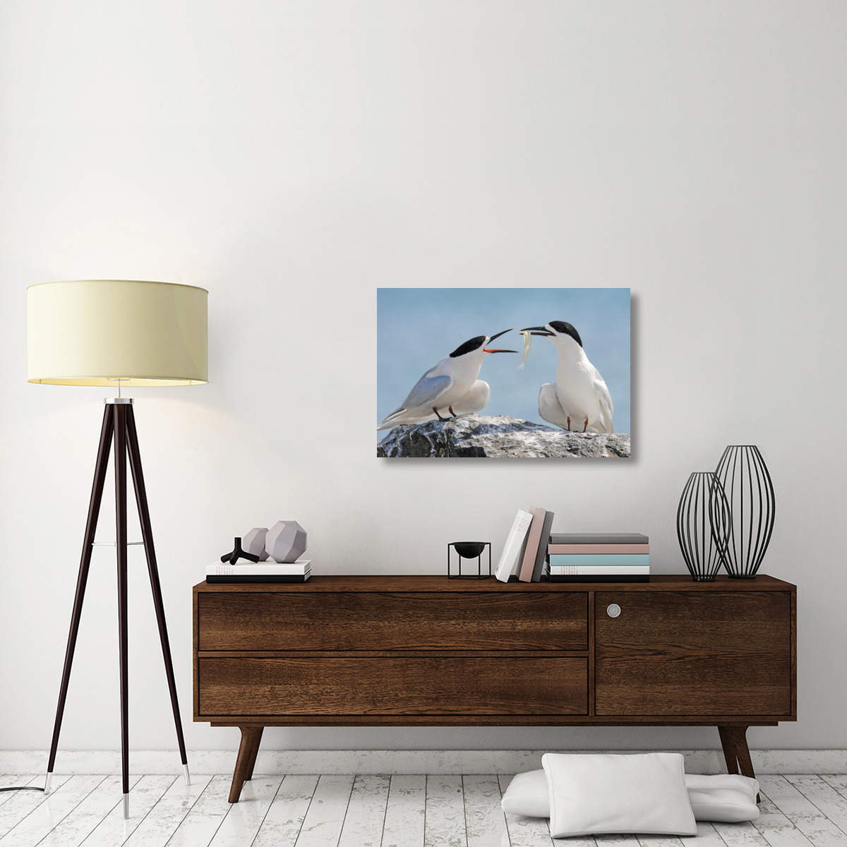 White-fronted Tern, Avon Heathcote Estuary, Christchurch, New Zealand-Canvas Art-36&quotx24"