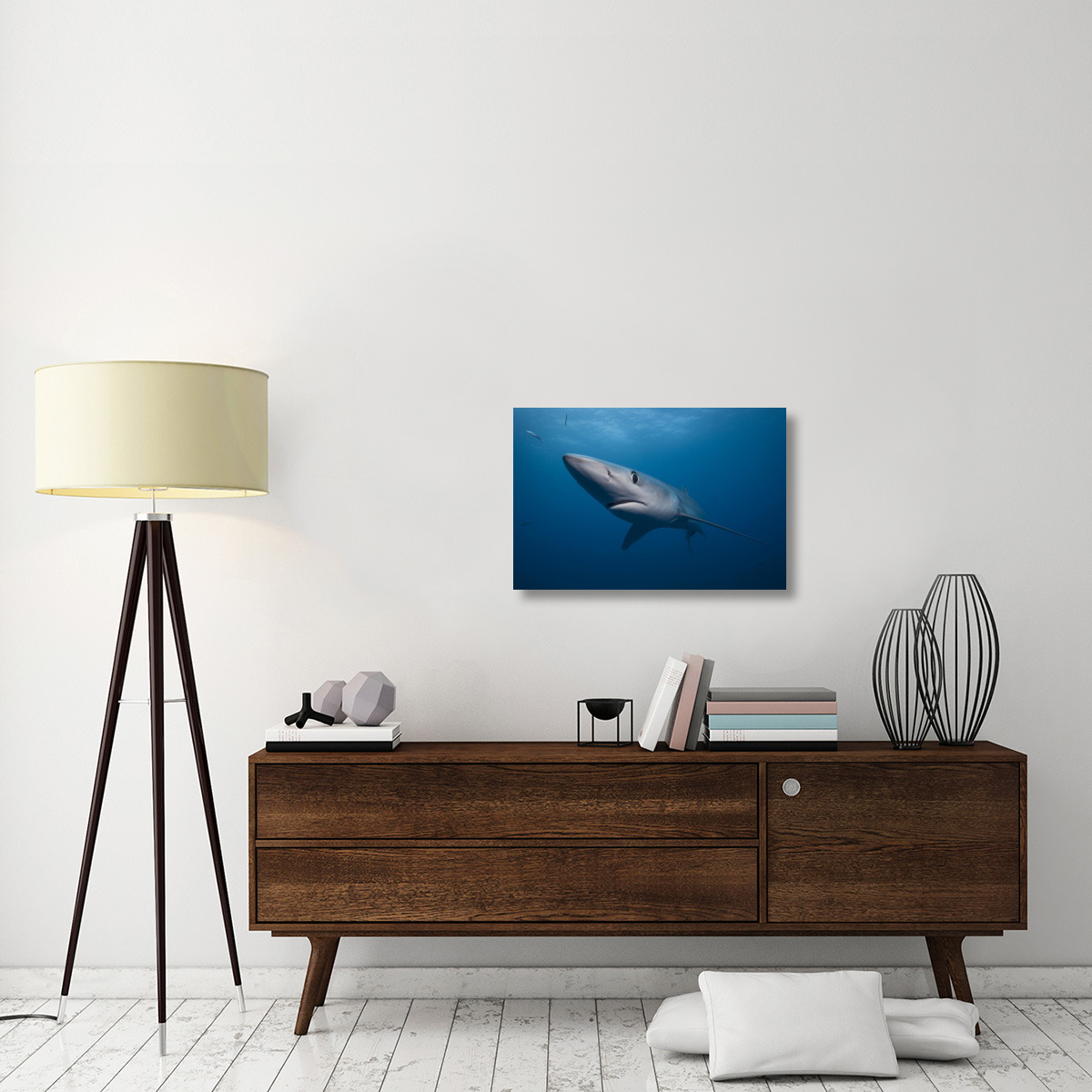 Blue Shark, San Diego, California-Canvas Art-30&quotx20"