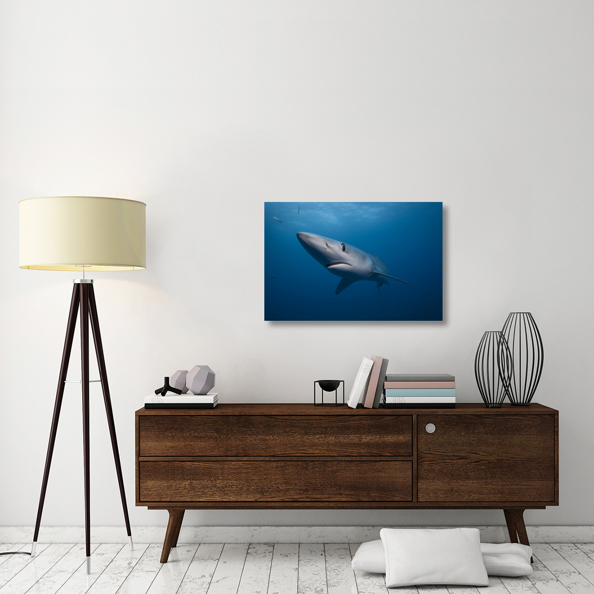 Blue Shark, San Diego, California-Canvas Art-36&quotx24"