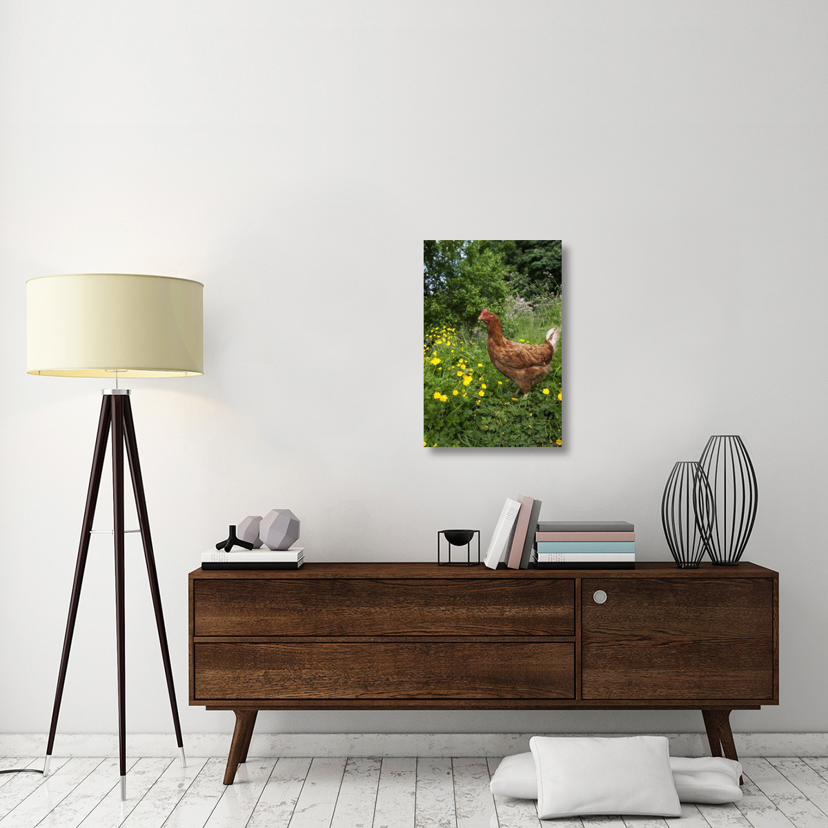 Domestic Chicken, free range hen, standing in meadow amongst buttercups, England-Canvas Art-20&quotx30"