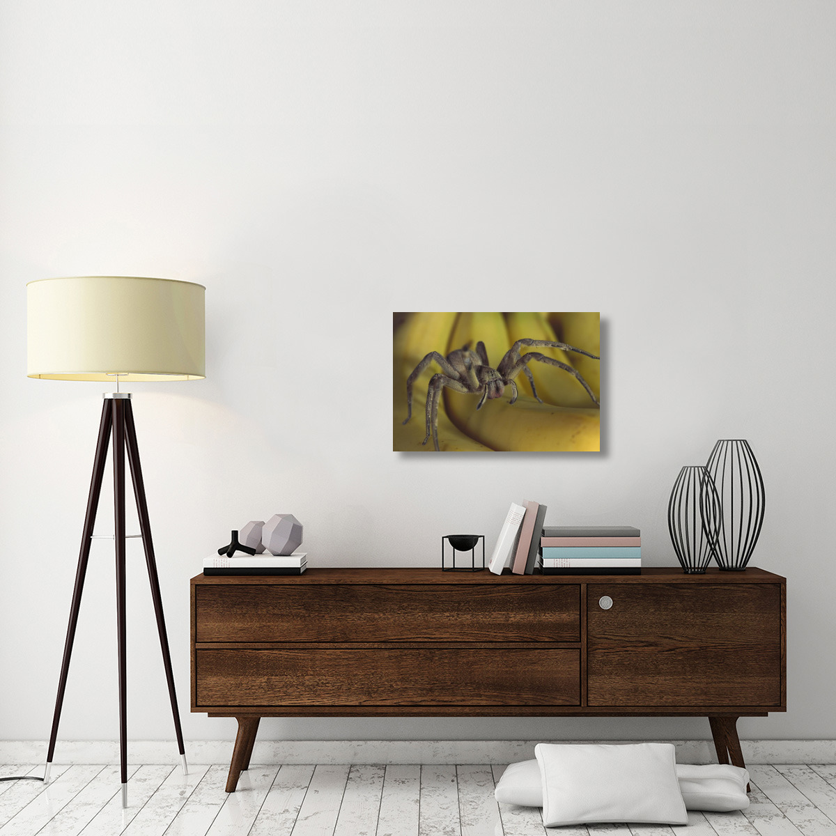 Hunting Spider or Banana Spider walking on Bananas, native to Central America-Canvas Art-30&quotx20"