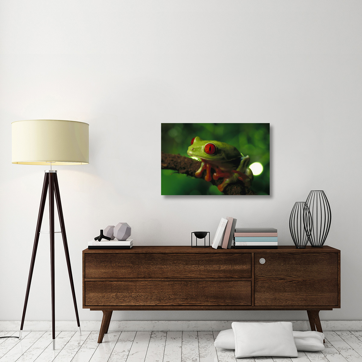 Red-eyed Tree Frog portrait sitting on a twig, native to tropical rainforests of Central America-Canvas Art-36&quotx24"