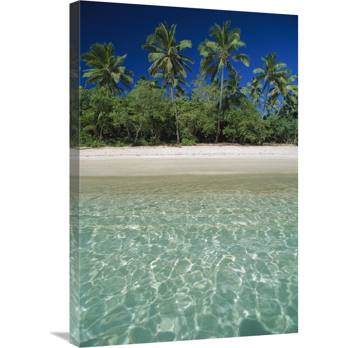 Tropical scene with palm trees, Uoleva Island, Ha&quotapai Group, Tonga-Canvas Art-20&quotx30"