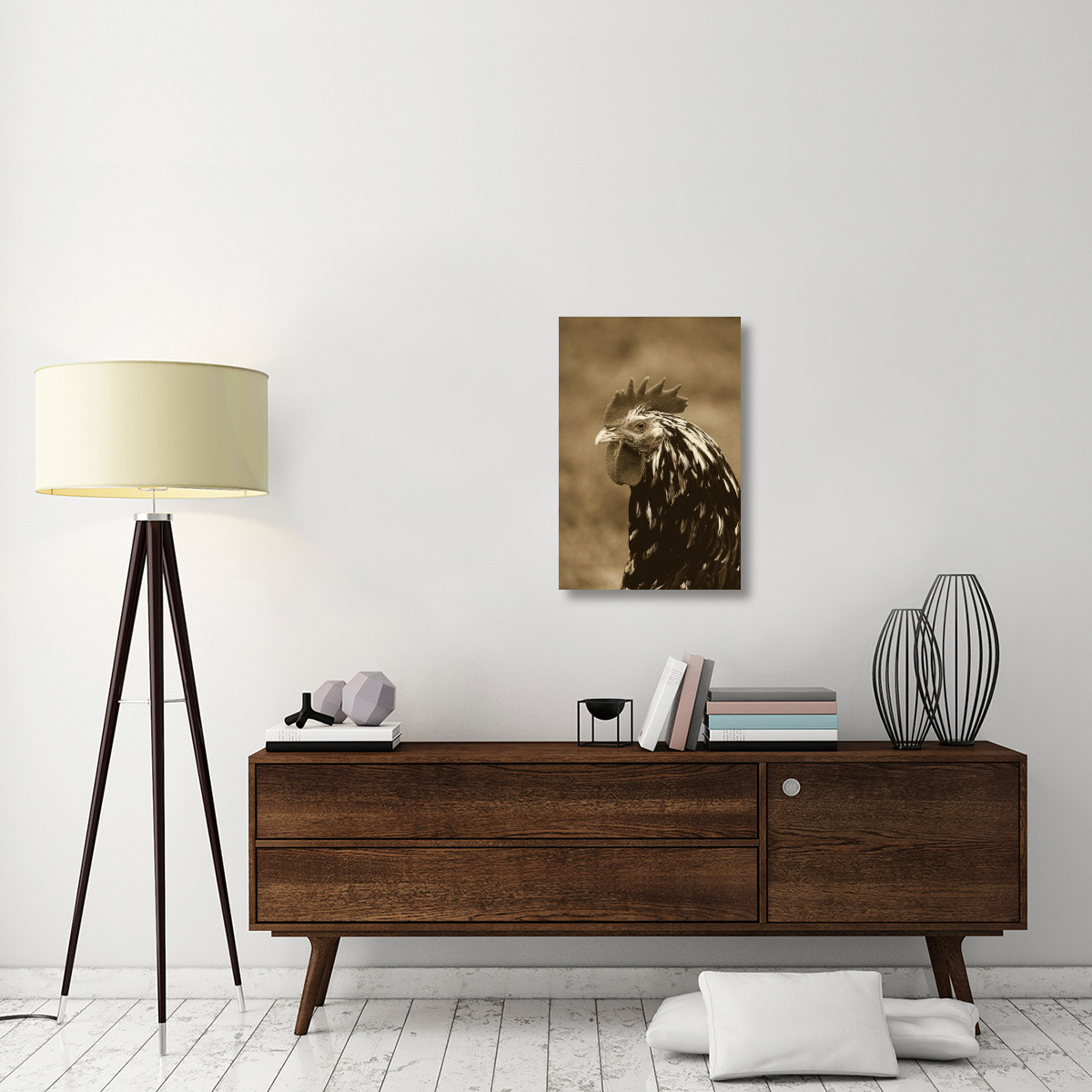 Domestic Chicken, Gournay cockerel, close-up of head, Normandy, France-Canvas Art-20&quotx30"