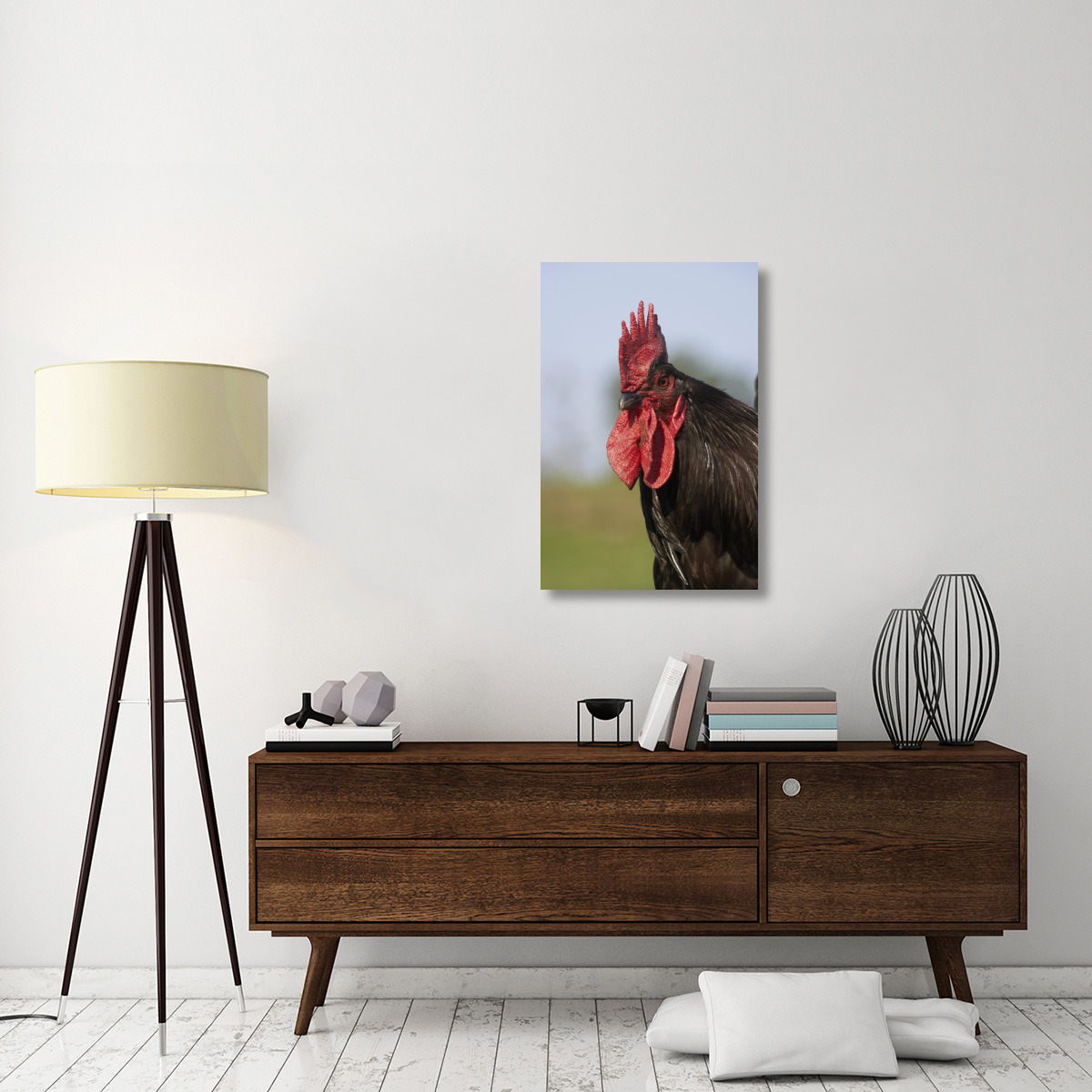 Domestic Chicken, close-up of cockerel head-Canvas Art-24&quotx36"