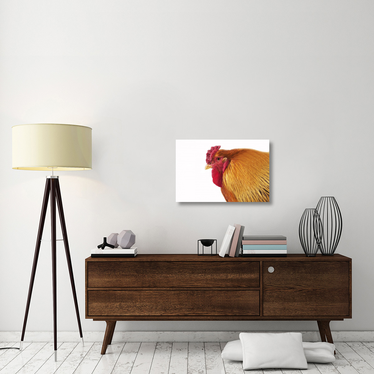 Domestic Chicken, Partridge Brahma, cockerel, close-up of head-Canvas Art-30&quotx20"