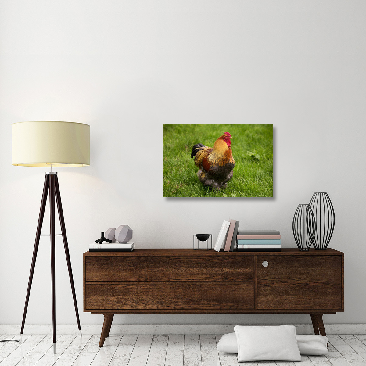Domestic Chicken, Partridge Brahma, cockerel, standing on grass-Canvas Art-36&quotx24"