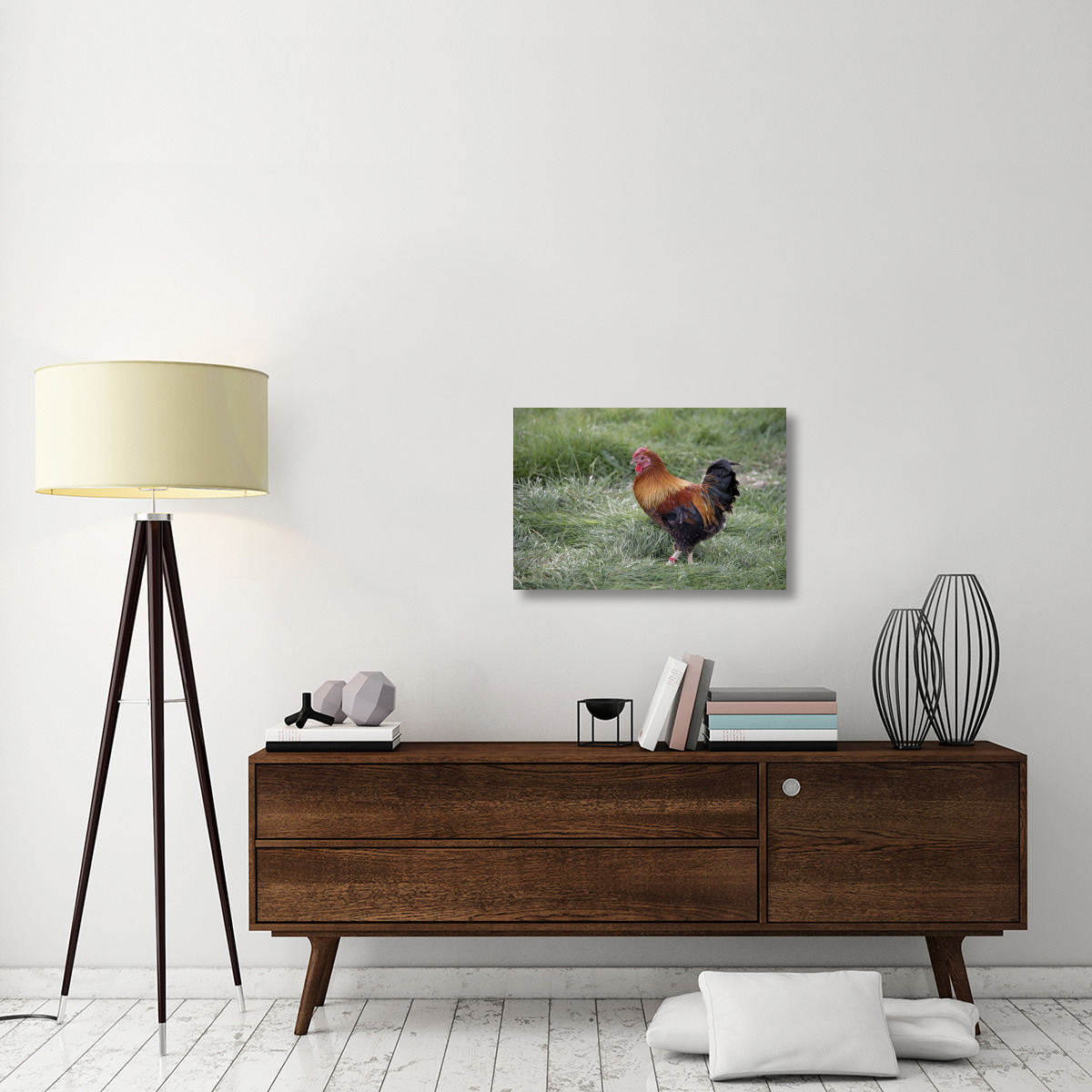 Domestic Chicken, Partridge Wyandotte Miniature, cockerel-Canvas Art-30&quotx20"