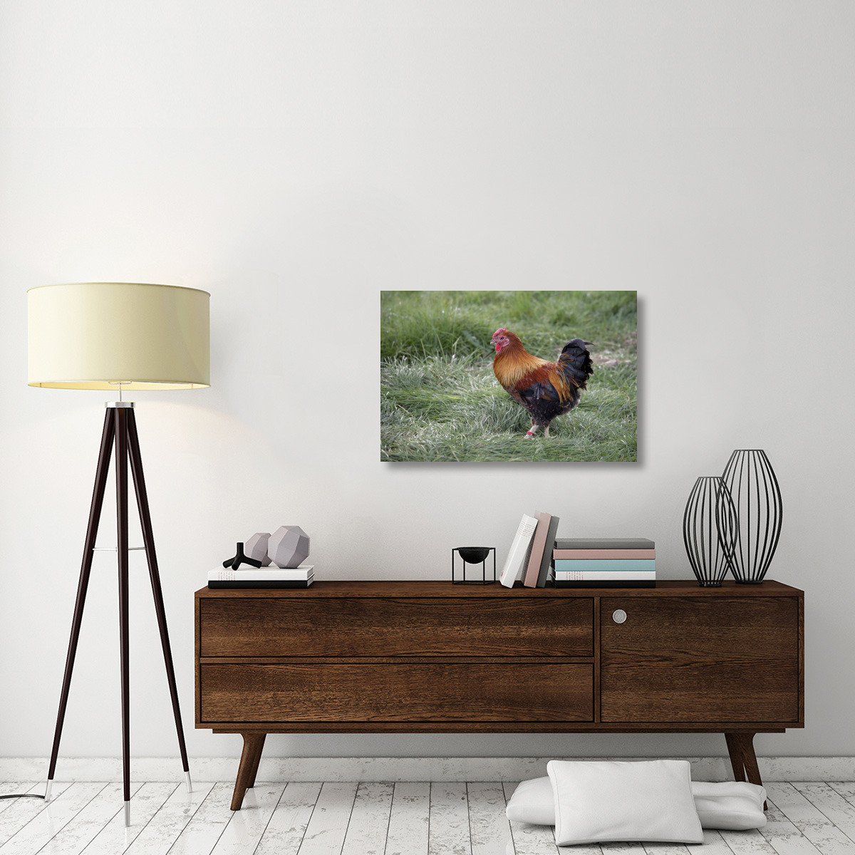 Domestic Chicken, Partridge Wyandotte Miniature, cockerel-Canvas Art-36&quotx24"