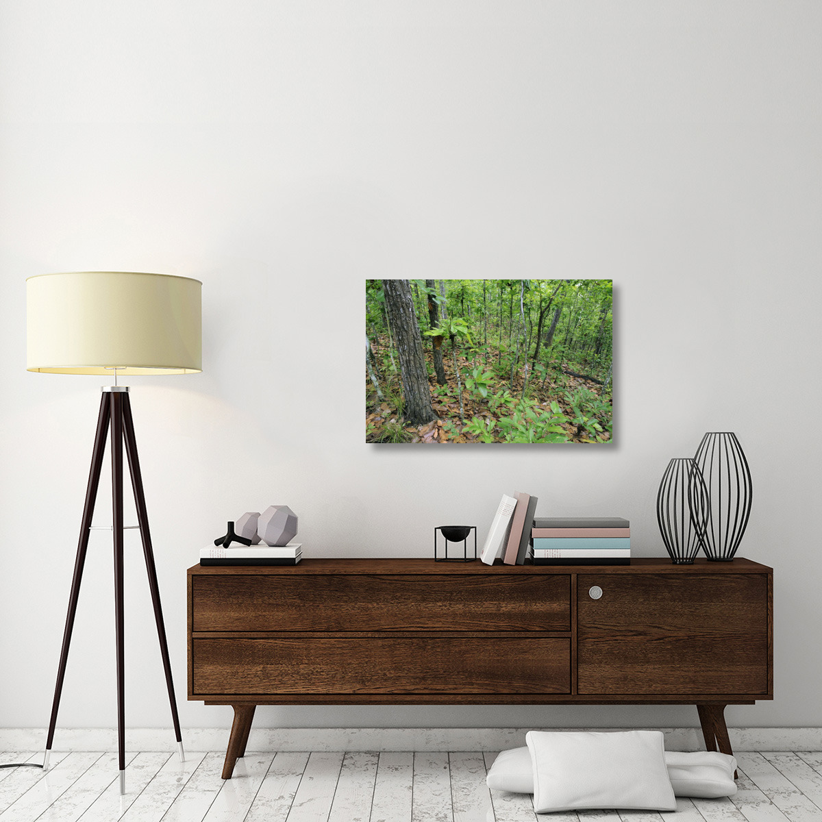 Forest in Rainy Season, Thailand-Canvas Art-36&quotx24"
