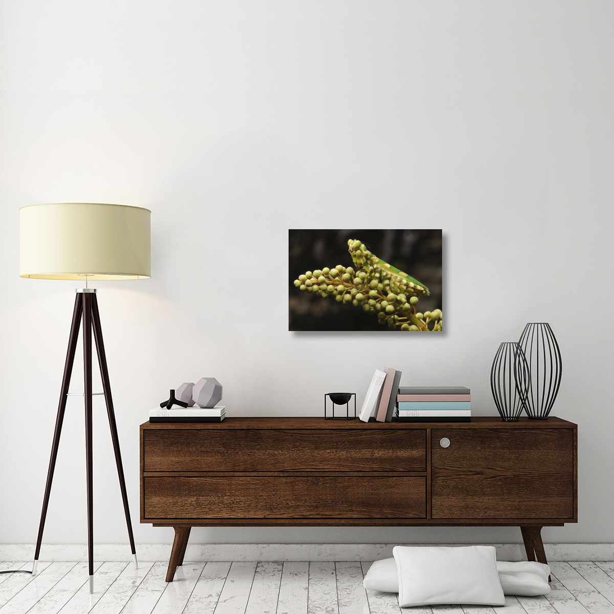 Mantis on Pitcher Plant-Canvas Art-30&quotx20"