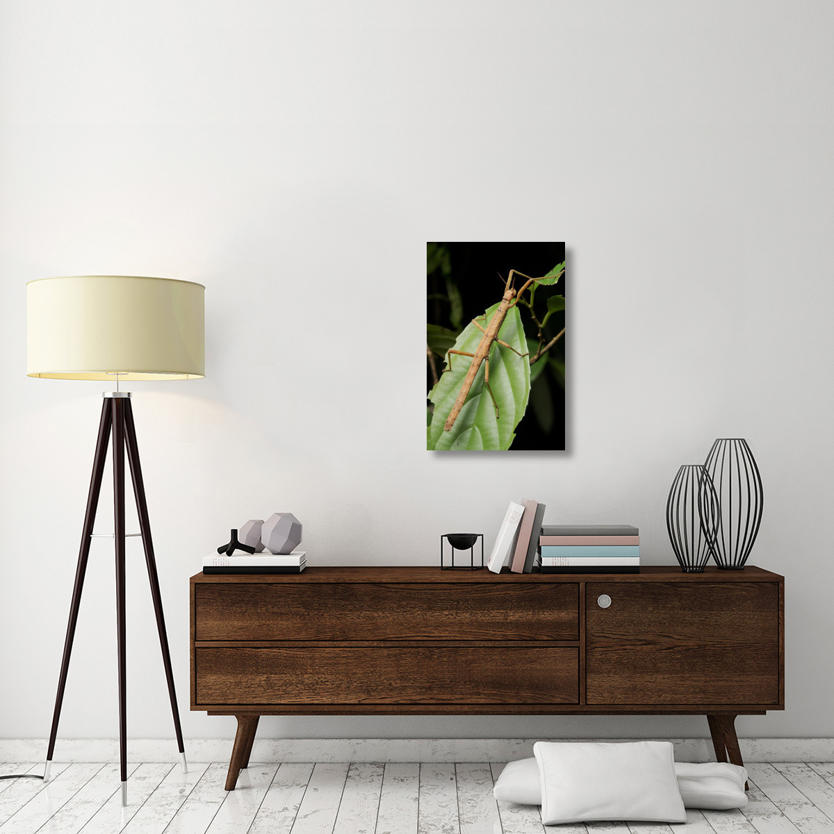Stick insect, North Maluku, Indonesia-Canvas Art-20&quotx30"