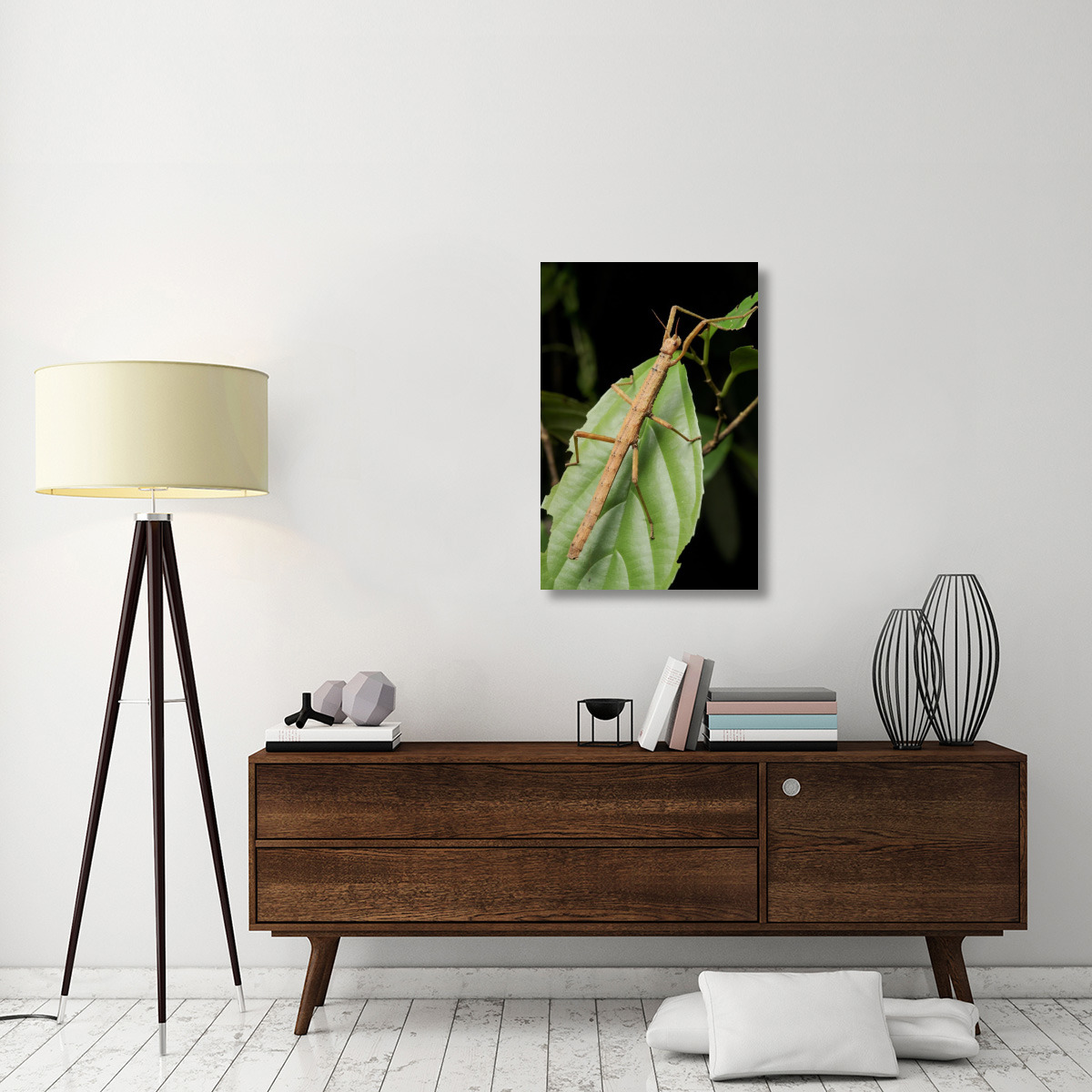 Stick insect, North Maluku, Indonesia-Canvas Art-24&quotx36"