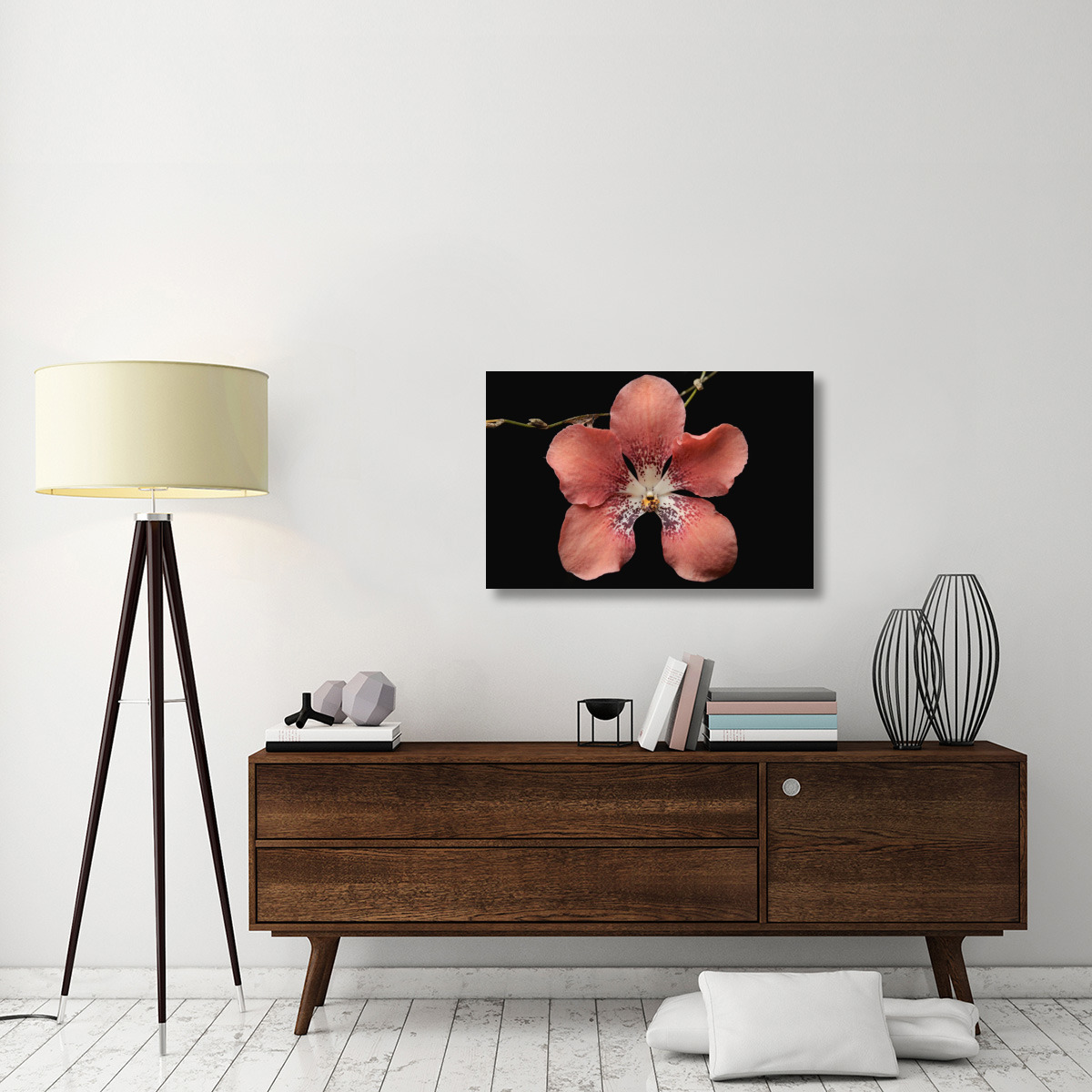 Orchid flower, Sabah, Borneo, Malaysia-Canvas Art-36&quotx24"