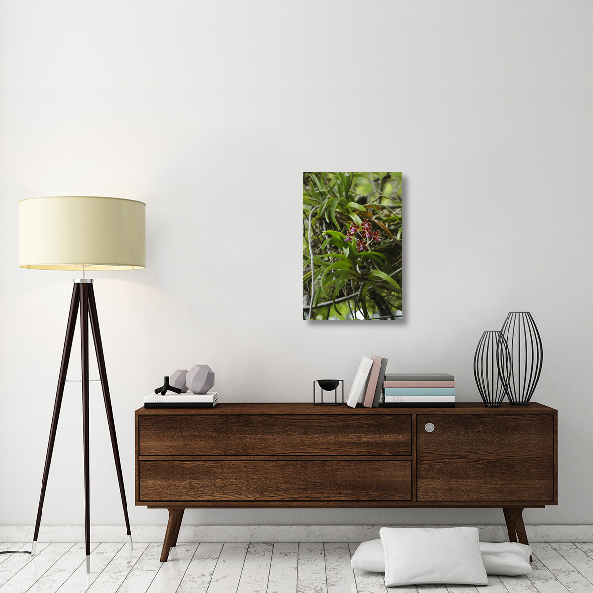 Orchid flowers, Nusa Tenggara, Indonesia-Canvas Art-20&quotx30"