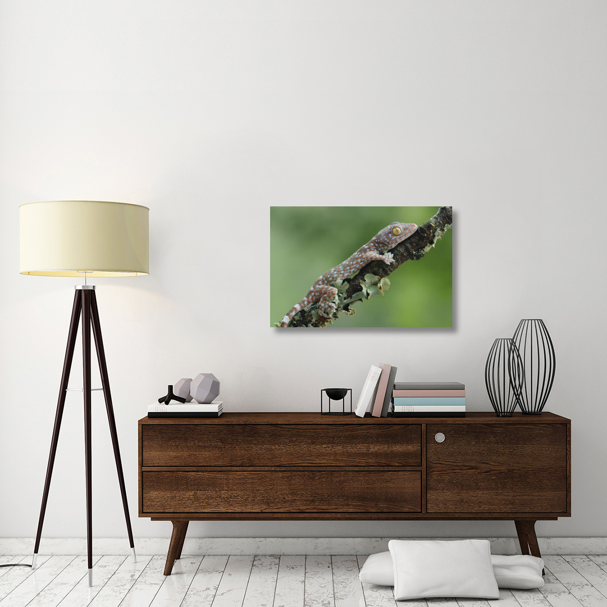 Tokay Gecko juvenile, Uthai Thani, Thailand-Canvas Art-36&quotx24"