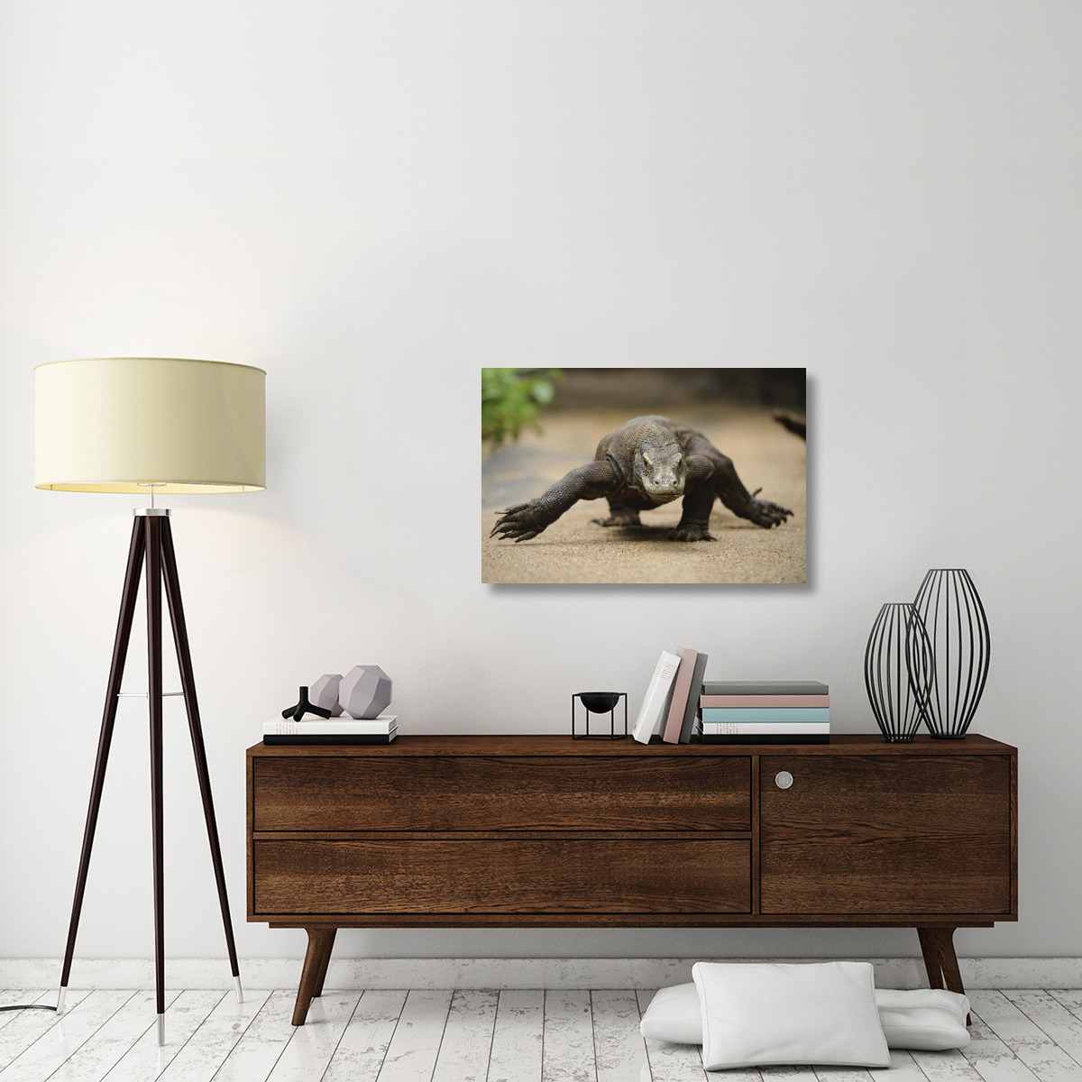 Komodo Dragon walking, Nusa Tenggara, Indonesia-Canvas Art-36&quotx24"