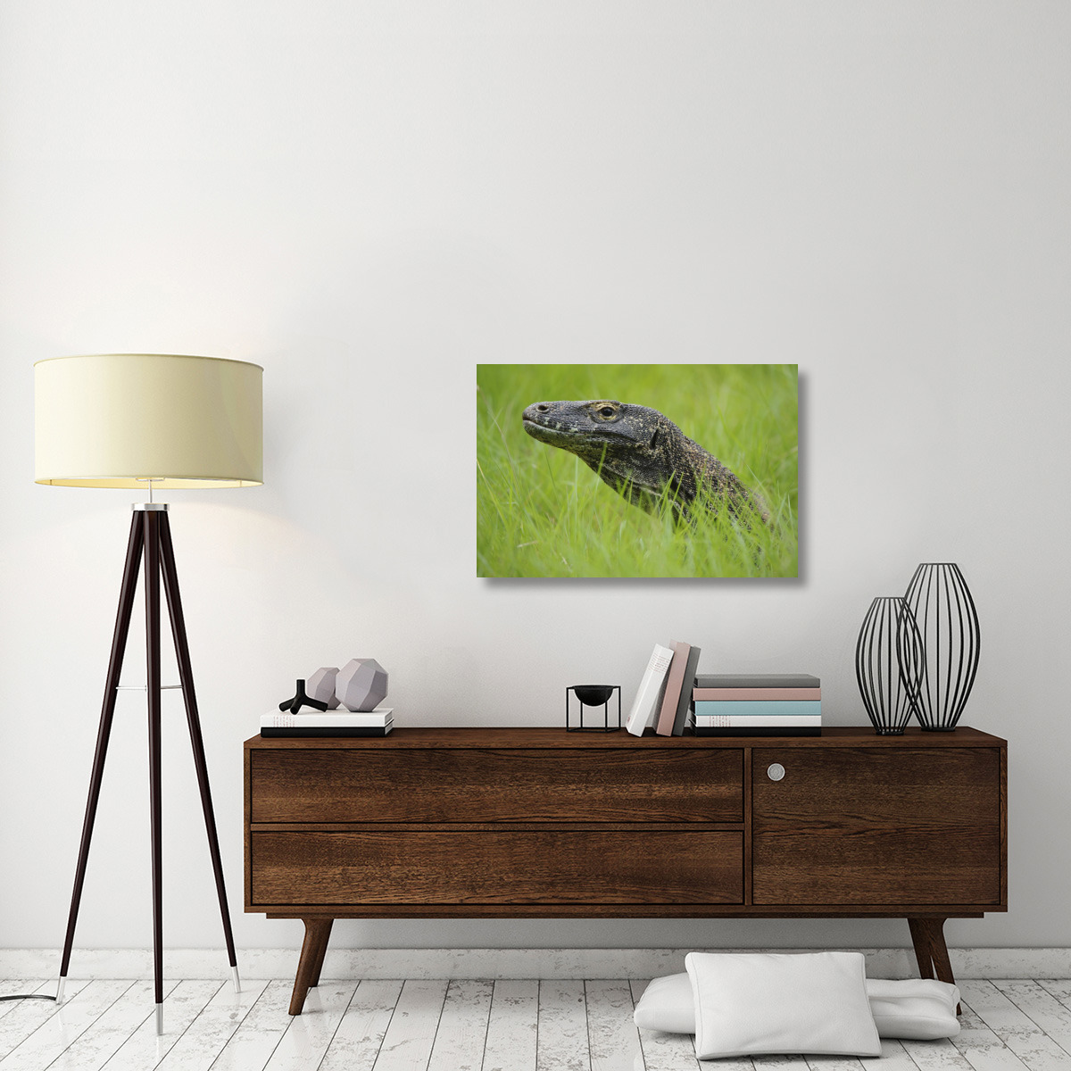 Komodo Dragon in grass, Nusa Tenggara, Indonesia-Canvas Art-36&quotx24"
