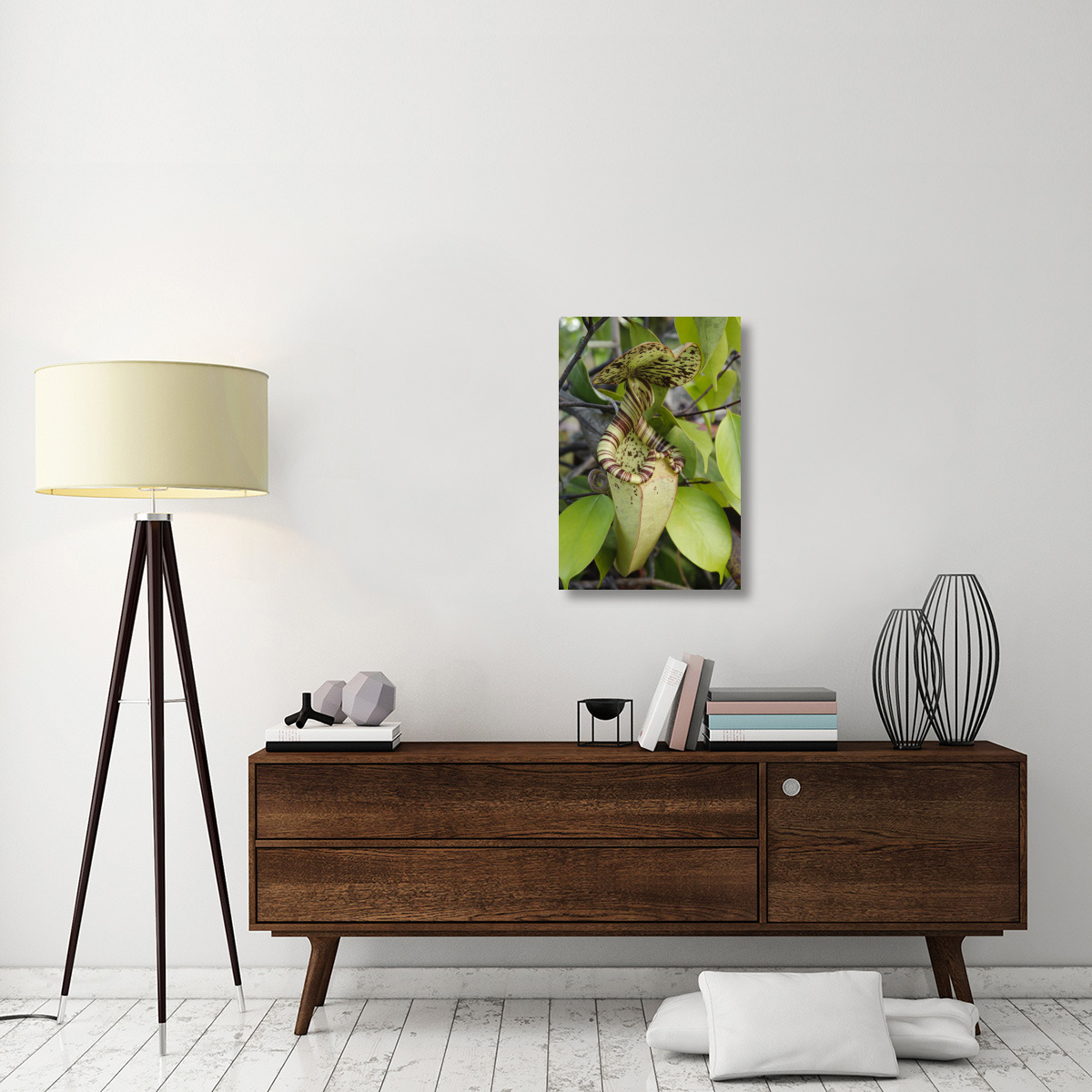 Pitcher Plant pitcher, Brunei, Borneo, Indonesia-Canvas Art-20&quotx30"
