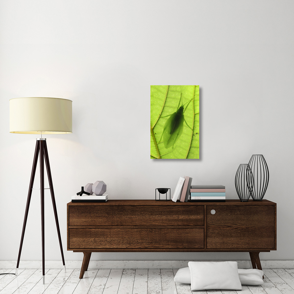 Katydid camouflaged on leaf, Sabah, Borneo, Malaysia-Canvas Art-20&quotx30"