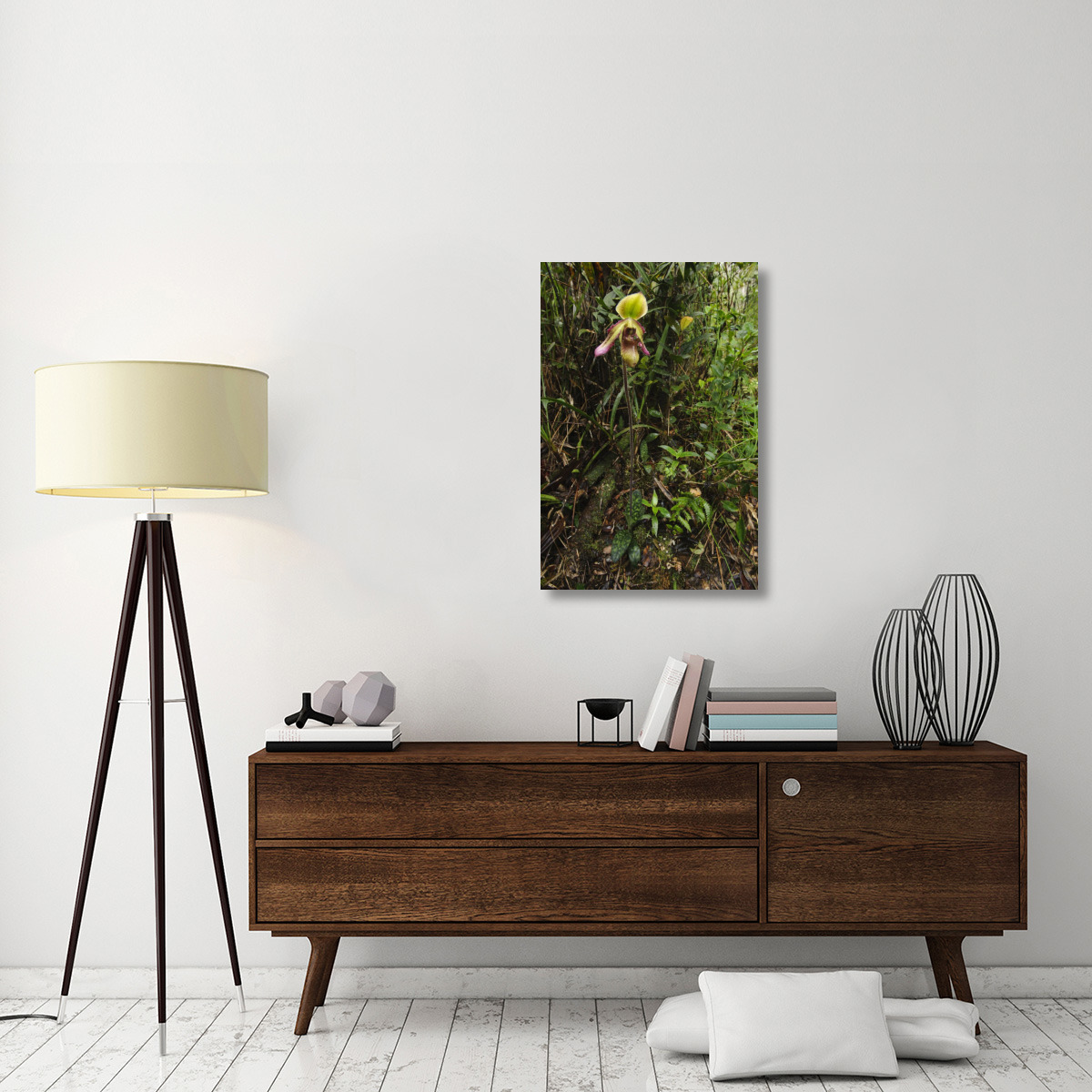 Orchid flower in rainforest, Sabah, Borneo, Malaysia-Canvas Art-24&quotx36"