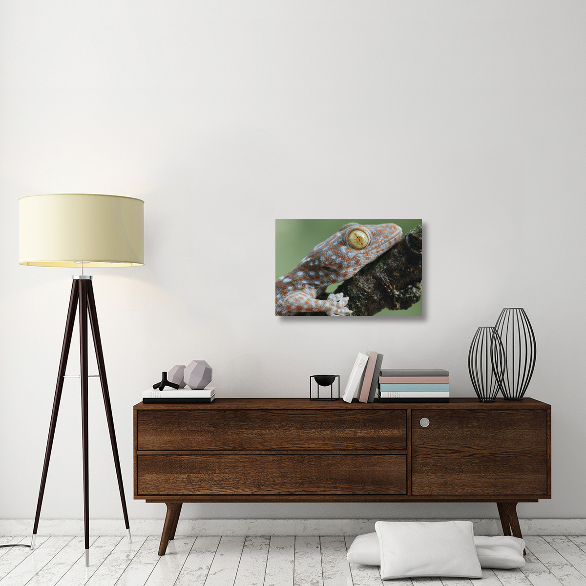 Tokay Gecko juvenile showing vertical pupil, Uthai Thani, Thailand-Canvas Art-30&quotx20"