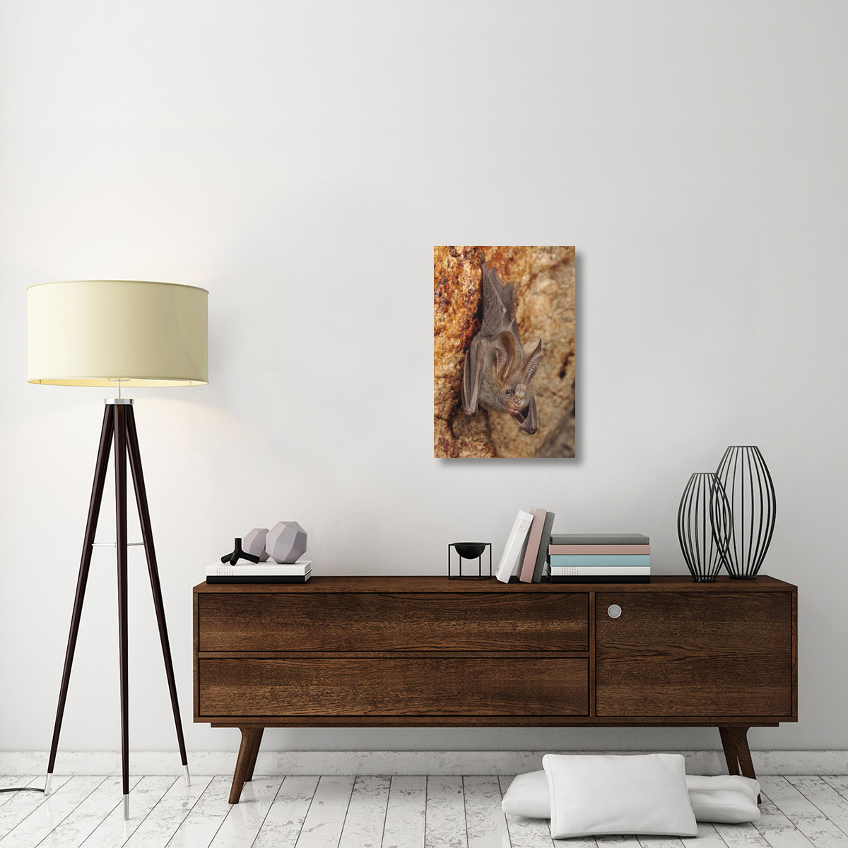 Lesser False Vampire Bat roosting in cave, Sekunyit, Bau, Malaysia-Canvas Art-20&quotx30"