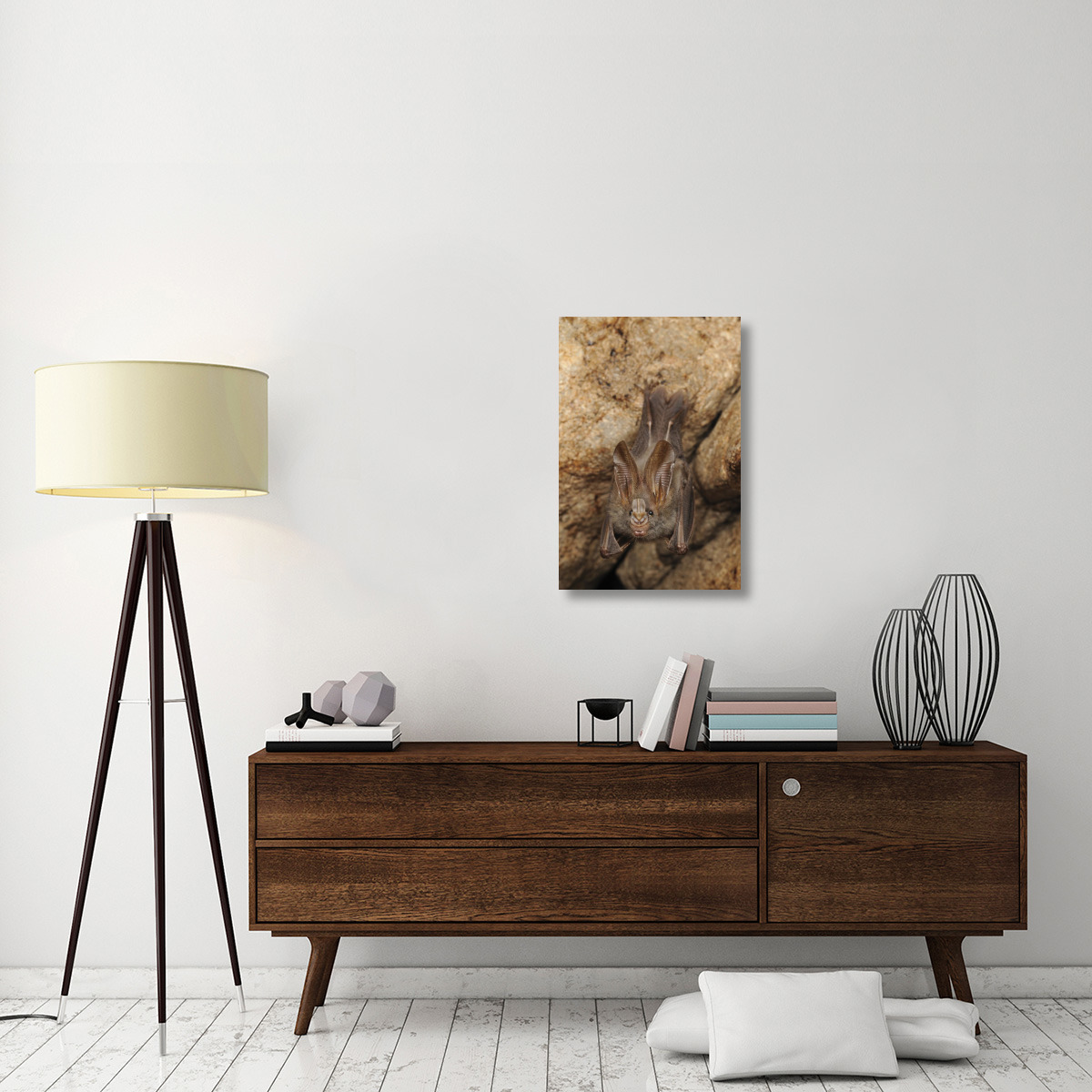 Lesser False Vampire Bat roosting in cave, Sekunyit, Bau, Malaysia-Canvas Art-20&quotx30"