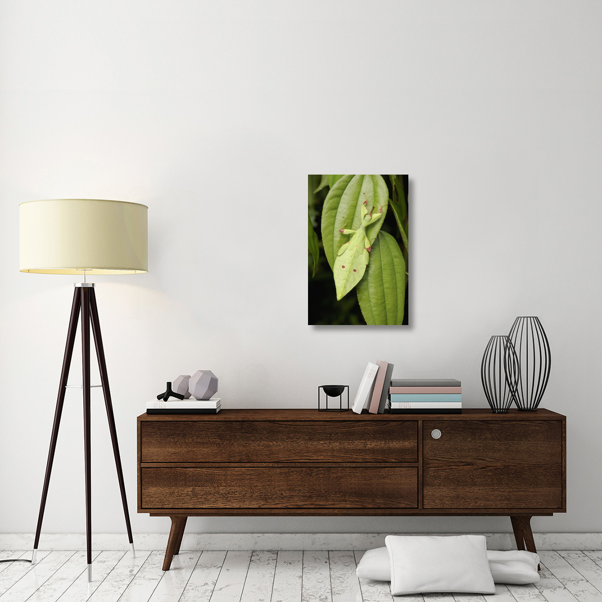 Walking Stick juvenile camouflaged on leaf, Sarawak, Borneo, Malaysia-Canvas Art-20&quotx30"