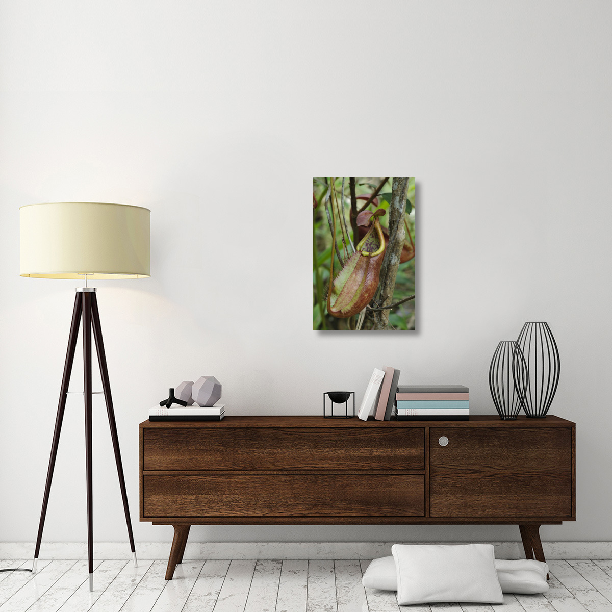 Pitcher Plant pitcher, newly described species, Surat Thani, Thailand-Canvas Art-20&quotx30"