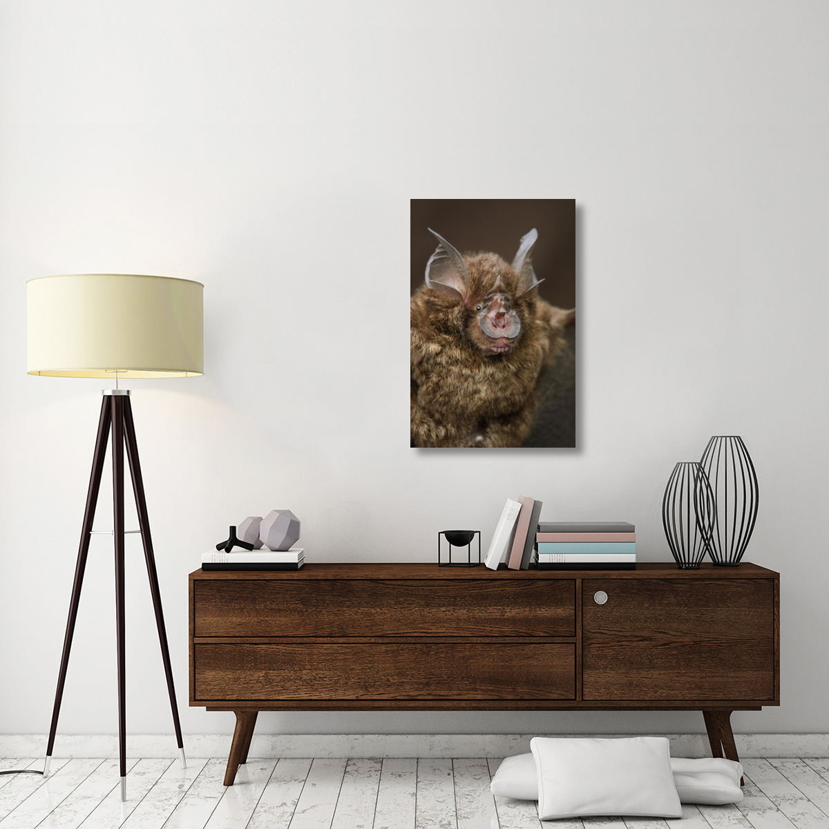 Bornean Horseshoe Bat, Bukit Sarang Conservation Area, Bintulu, Borneo, Malaysia-Canvas Art-24&quotx36"
