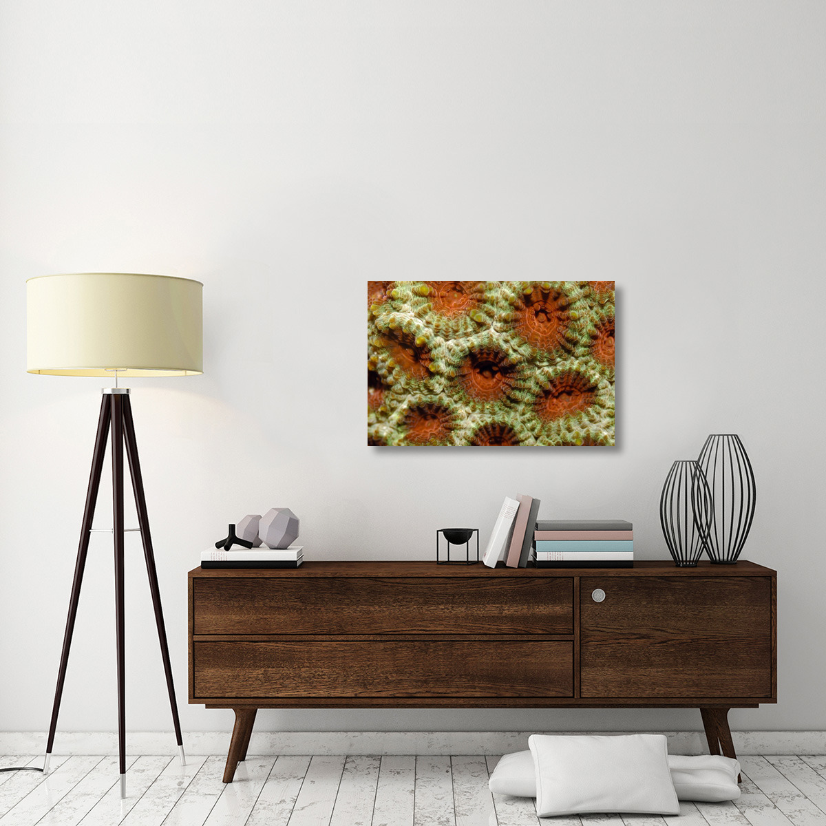Stone coral detail, Indonesia.-Canvas Art-36&quotx24"