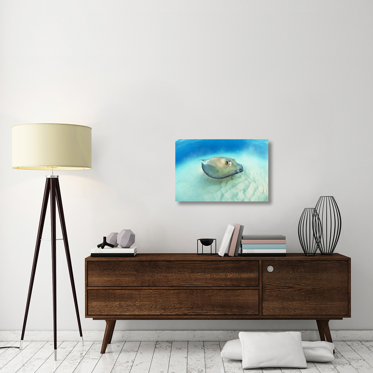 Southern Stingray, Stingray City-Canvas Art-30&quotx20"