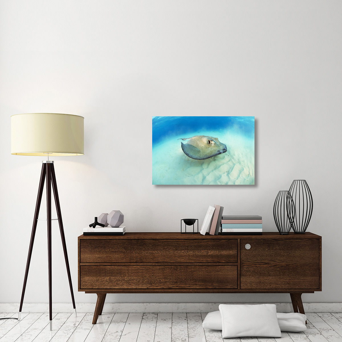 Southern Stingray, Stingray City-Canvas Art-36&quotx24"
