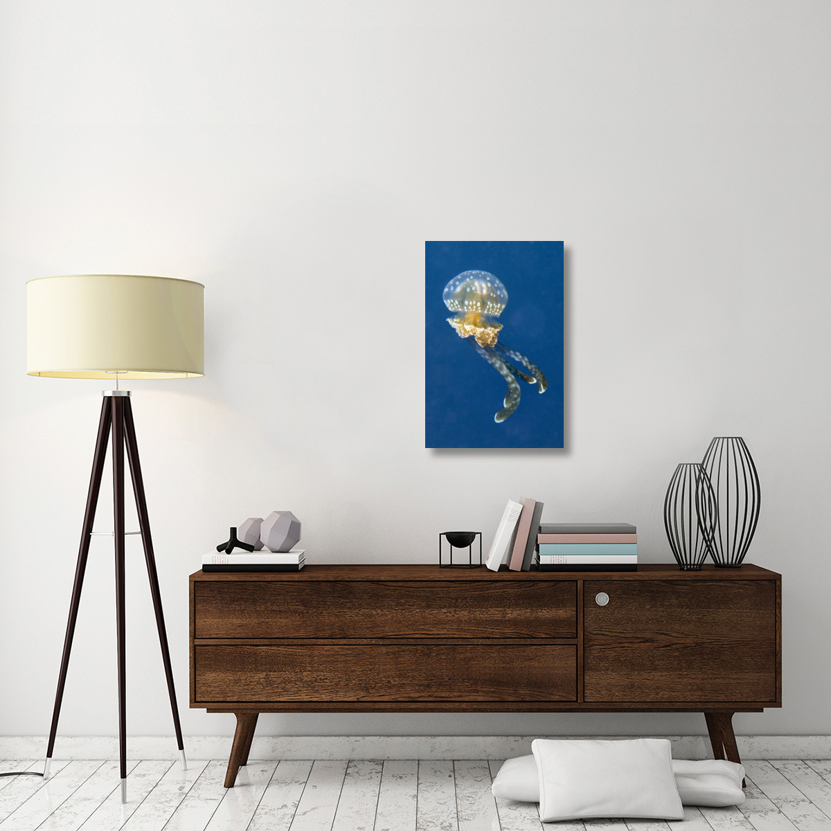 Colourful, poisonous Mangrove Jellyfish-Canvas Art-20&quotx30"