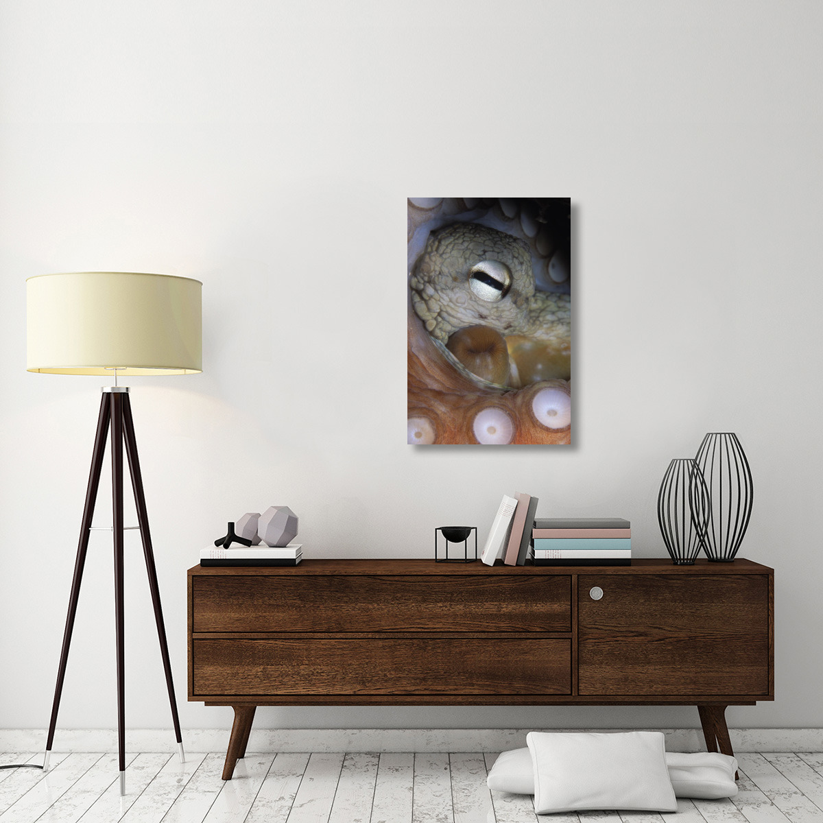 Common Octopus close up of eye, siphon and suction cups on tentacle, Europe-Canvas Art-24&quotx36"