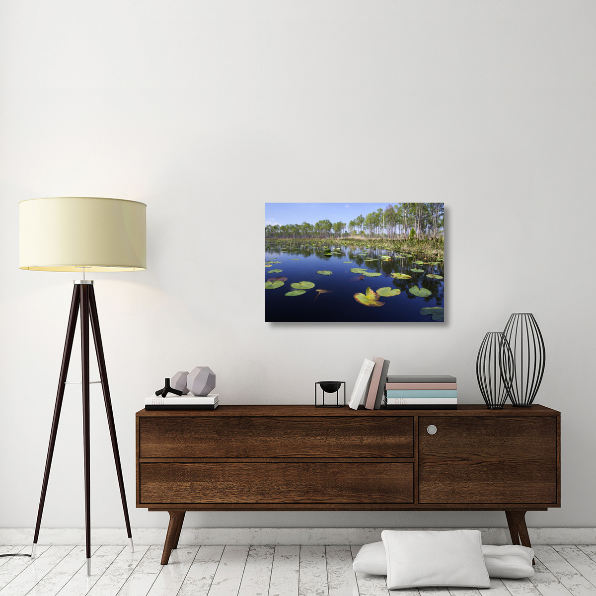 Lake with lily pads, southern Florida-Canvas Art-36&quotx24"