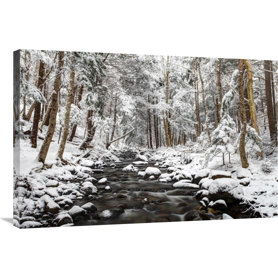 Stream in winter, Nova Scotia, Canada-Canvas Art-36&quotx24"