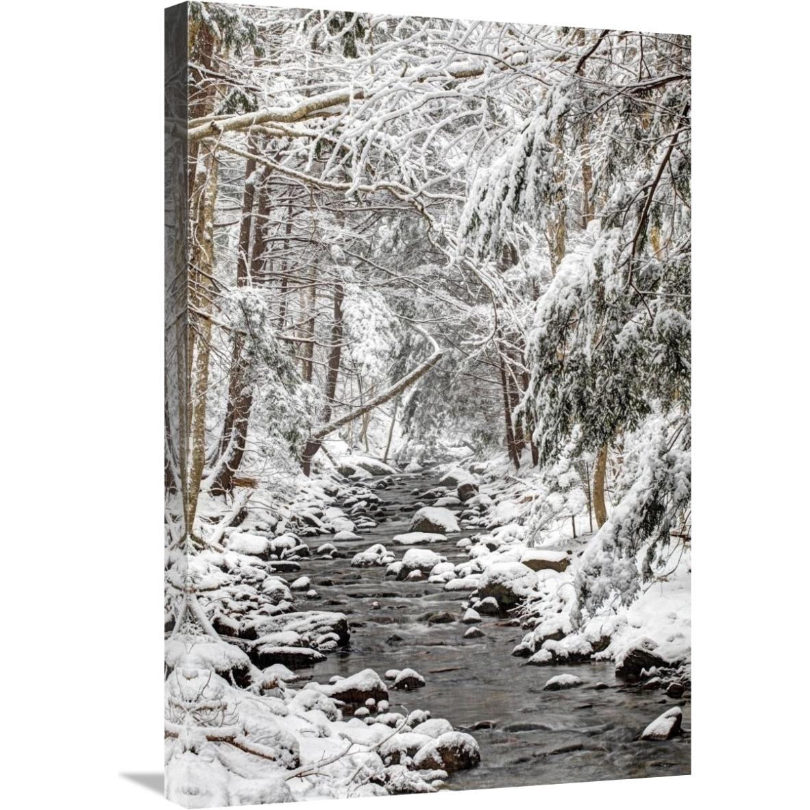 Stream in winter, Nova Scotia, Canada-Canvas Art-20&quotx30"